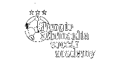 GIORGIO CHINAGLIA SOCCER ACADEMY