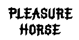 PLEASURE HORSE