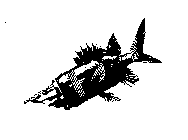 Image Trademark