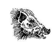 Image Trademark