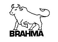 BRAHMA