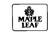 MAPLE LEAF