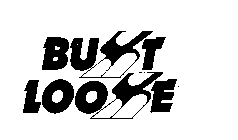 BUST LOOSE