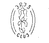 IRIS CLUJ