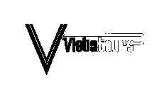 V VISTATOURS