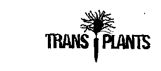 TRANS PLANTS