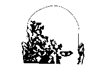 Image Trademark
