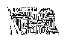 SOUTHERN 500