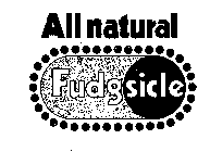 ALL NATURAL FUDGSICLE