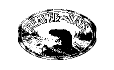 BEAVER BRAND HATS