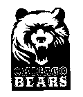 CHICAGO BEARS