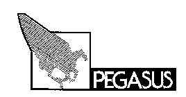 PEGASUS