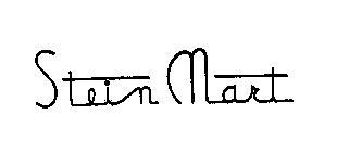 STEIN MART