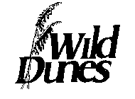 WILD DUNES