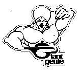 GIANT GENIE