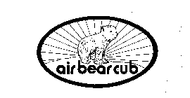 AIR BEAR CUB