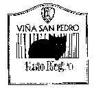 VINA SAN PEDRO GATO NEGRO