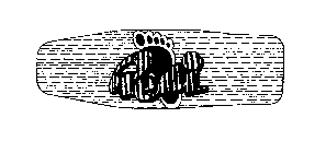 PEDI