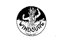 WINDSURE