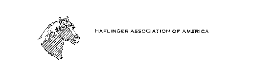 HAFLINGER ASSOCIATION OF AMERICA