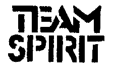 TEAM SPIRIT