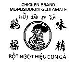 CHICKEN BRAND MONOSODIUM GLUTAMATE BOT NGOT HIEU CONGA