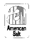 A AMERICAN SALT