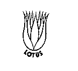 LOTUS