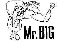 H MR. BIG