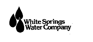 WHITE SPRINGS WATER COMPANY