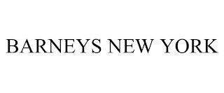 BARNEYS NEW YORK