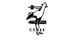 CESSE