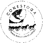 CONESTOGA SPACE SERVICES INC OF AMERICA