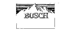 BUSCH