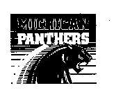 MICHIGAN PANTHERS