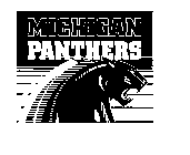 MICHIGAN PANTHERS