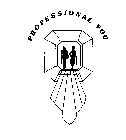 PROFESSIONAL YOU