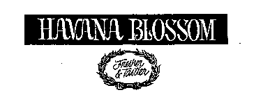 HAVANA BLOSSOM FRESHER & TASTIER