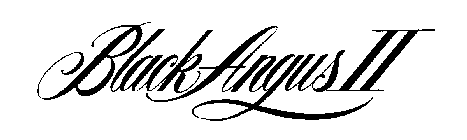 BLACK ANGUS II