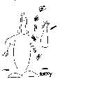 INKY
