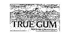 TRUE GUM ALL NATURAL CHEWING GUM HARDIE'S WITH HONEY & VERMONT MAPLE