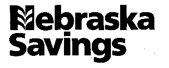 NEBRASKA SAVINGS