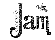 CALIFORNIA JAM