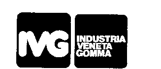 IVG INDUSTRIA VENETA GOMMA