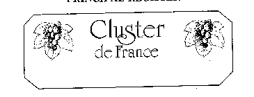 CLUSTER DE FRANCE