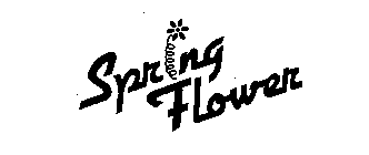 SPRING FLOWER