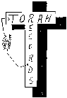 TORAH RECORDS