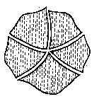 Image Trademark