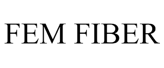 FEM FIBER