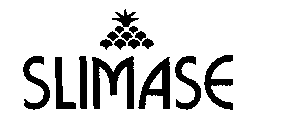 SLIMASE